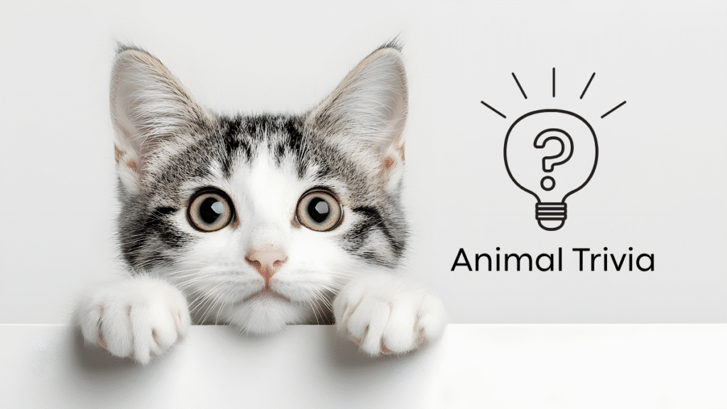 vet near me providing wellness care in Arab Alabama