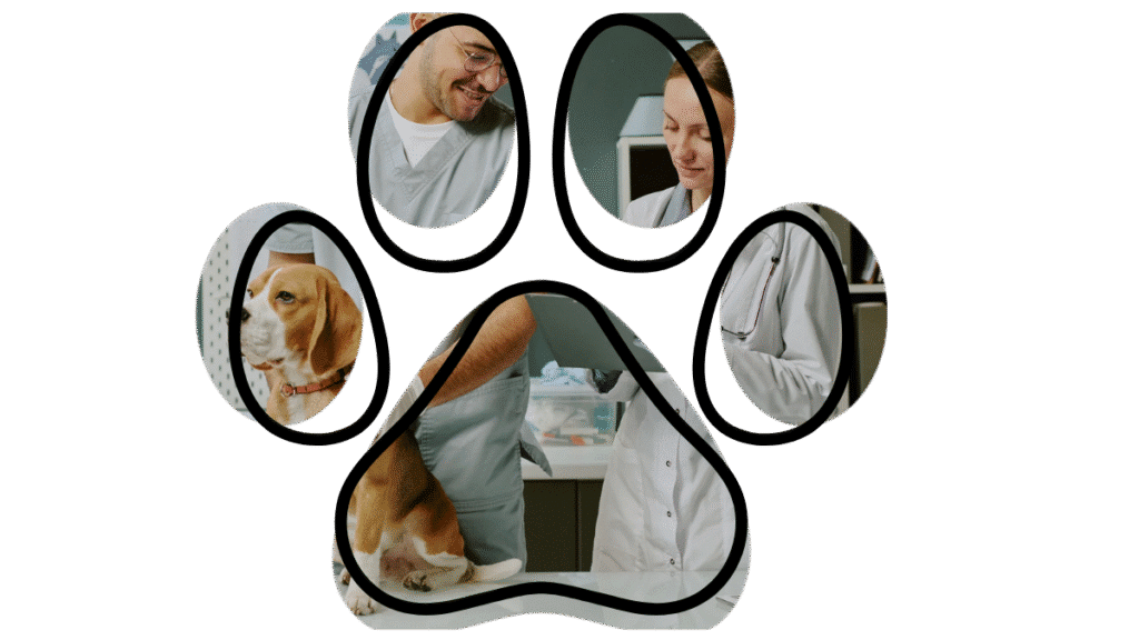exotic pet veterinarian in Arab AL vet near me