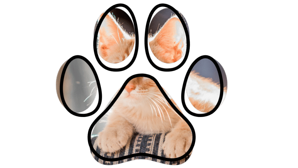 preventive pet care at vet near me in Arab Alabama