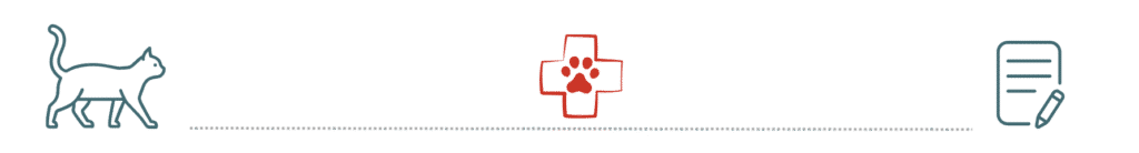 preventive care and pet insurance discussion at Arab Veterinary Hospital Arab AL